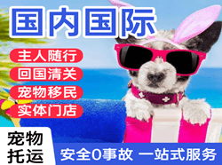 宁波栎社机场货运国际宠物托运 【国